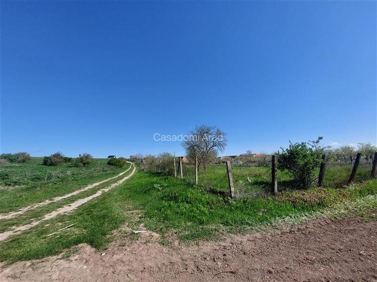 Teren pentru dezvoltare rezidentiala langa padure, in Pischia - 5