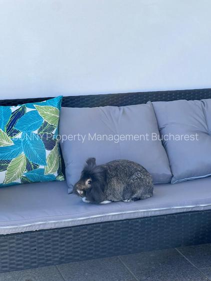 Luxuria Residence | Code MY032-02  |  620EUR+TVA - 18