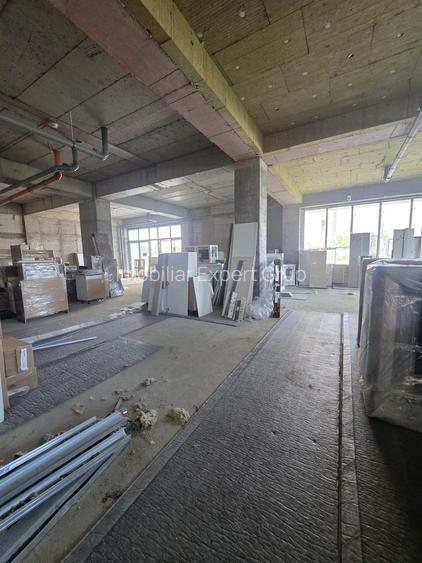 Zona Viilor sp 442 mp open space 10 locuri de parcare - 4