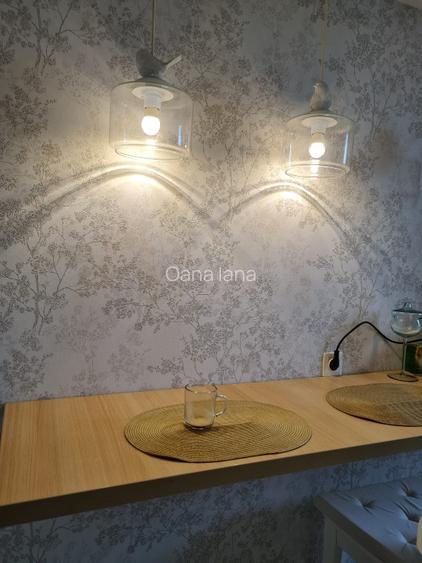 APARTAMENT CU VEDERE LA LAC SI TERASA 60+60MP+loc parcare inclus - 4