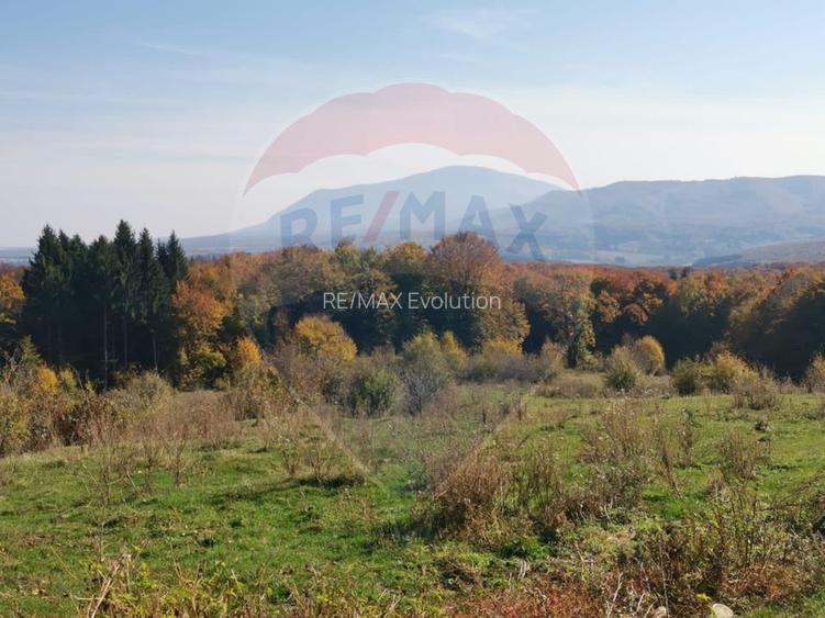 Teren aproape de pădure, situat într-o zonă aerisită - 2