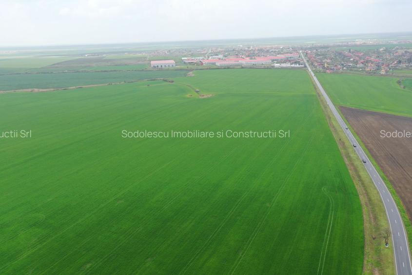 Teren industrial Dudestii Noi - 5