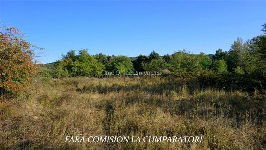 BUDESTI, TEREN 1000 MP, PRIVELISTE MINUNATA - 5