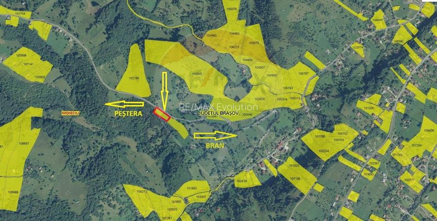 Teren extravilan, 2000 mp, Sat Peștera (com Moieciu) - 11