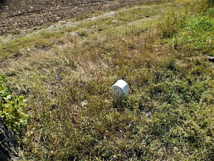 Teren iesire din Nicolae Balcescu, la 200ml de E85 Bacau - 11