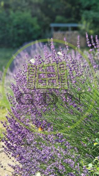 Casa familială aproape de Cluj! - 12