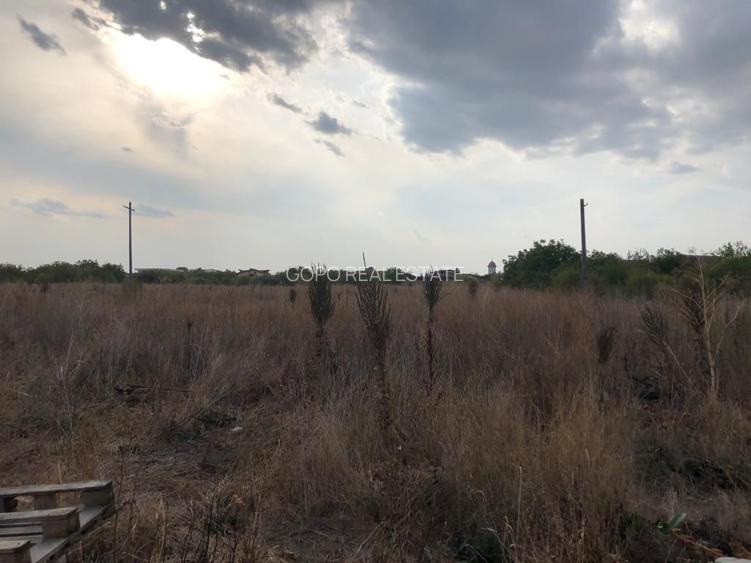 Lot teren 80000 mp Otopeni Sud Est dezvoltare sau lotizare - 3