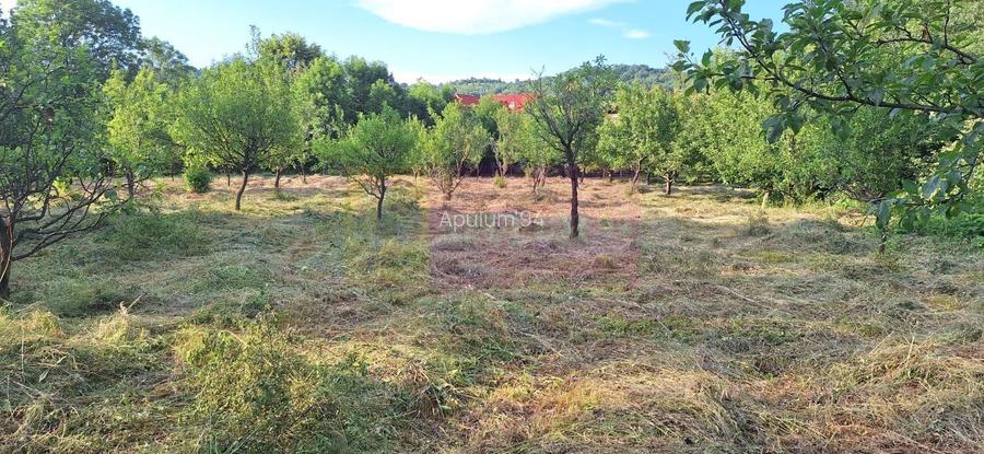 Vila de vanzare cu 6 camere si teren de 5116 mp in Cornu, Prahova - 48