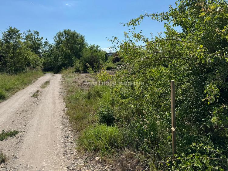 Venus - Cap Aurora - teren intravilan PUZ P+4 - 4