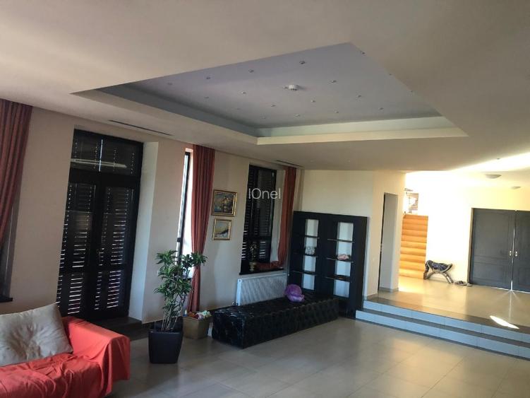 Proprietar vand vila deosebita - 12