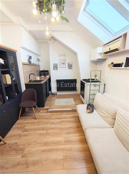 Apartament 2 camere Nicolina - Rond Vechi - 11