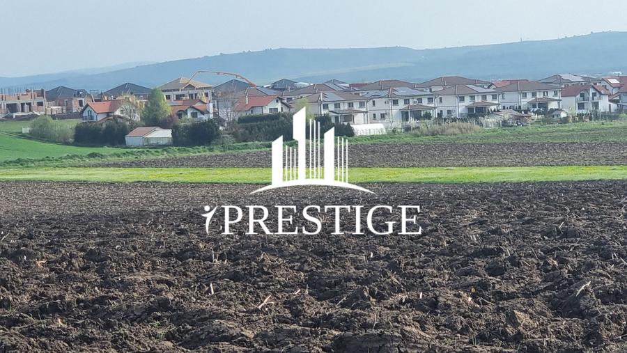TEREN DE VÂNZARE ȘURA MICĂ 10.000 MP | 2 FRONTURI STRADALE, INVESTIȚIE - 10