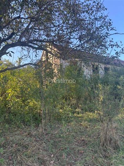 Conac in paragina - 3