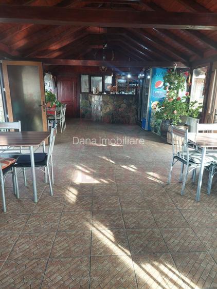 RESTAURANT DE VÂNZARE-COM. OBREJA\SAT IAZ\CARAȘ SEVERIN - 17