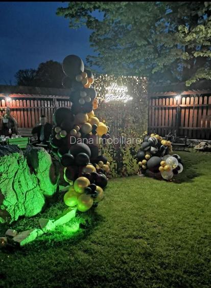 RESTAURANT DE VÂNZARE-COM. OBREJA\SAT IAZ\CARAȘ SEVERIN - 15