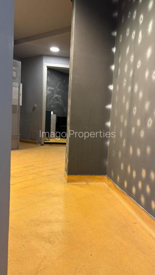 Spatiu comercial Bulebadrul Decebal - 5