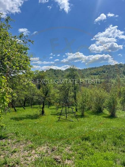 Teren 1200 mp + Casa - Comuna Arefu - 4