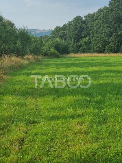 Teren pretabil cabana sau gradina 1670 mp zona deosebita Sibiel - 3