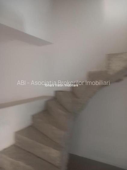 Vanzari Case / vile ILFOV - SUD 1 DECEMBRIE - 20