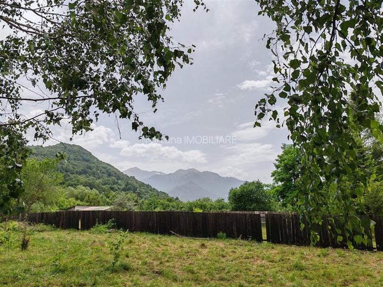 Teren cu casa de vacanta 3300 mp Rasnov Zona Glajarie - 3