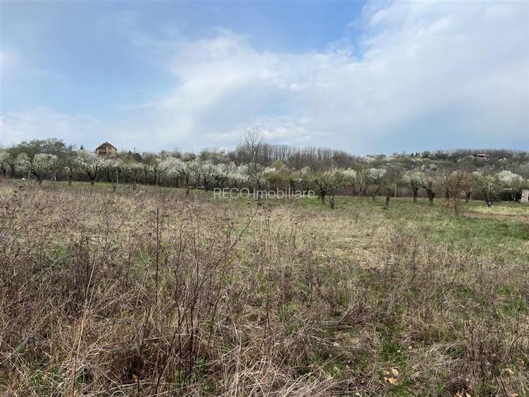 RECO Teren Saldabagiu de Munte - 4