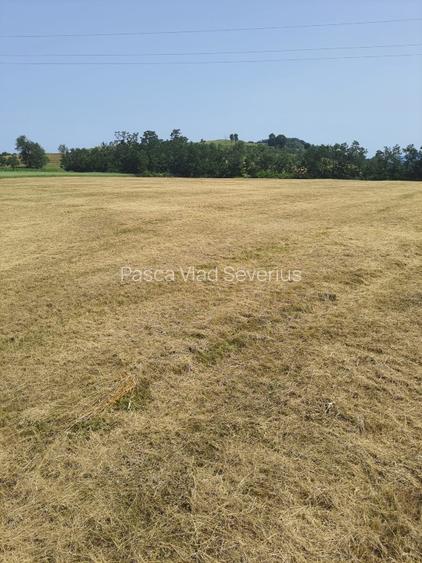 Teren intra si extravilan in Vad, Copalnic-Mănăștur, Maramures - 4