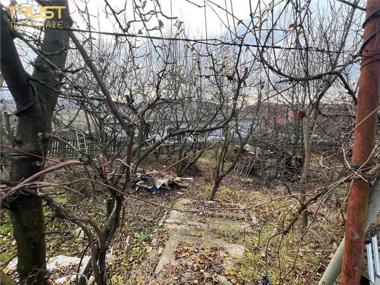 Teren intravilan 1000 mp Drumul Sigmirului - 2