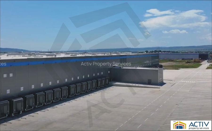 Hale de închiriat în Eli Park Bacău - 6