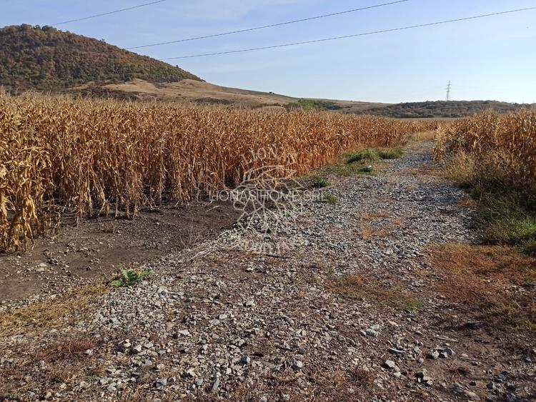 Parcele intre 770 mp si 4606 mp-ideal investitie-Sarata - 5