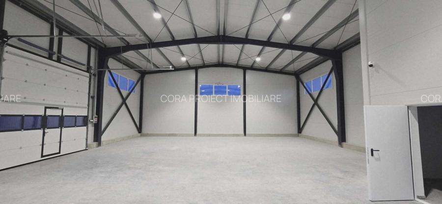 Hala/Showroom/Birouri de închiriat, str. Ogorului / cart. Grigorescu-H0031 - 6