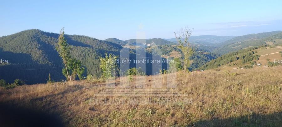 Teren intravilan | 3565 mp | Ideal constructie cabane | Garda de Sus - 2