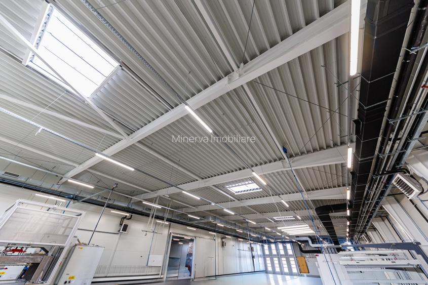 Hala Productie | 3.447 mp | 6904 mp teren | Randament ~9% | Sanandrei-Timis - 32