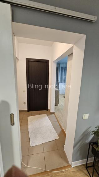 Apartament cu 2 camere, gradina, zona Porii - 8