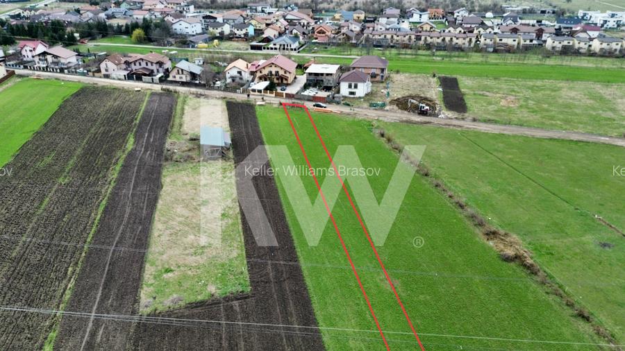 Teren agricol la cel mai mic preț - str. George Coșbuc din Sânpetru - 5