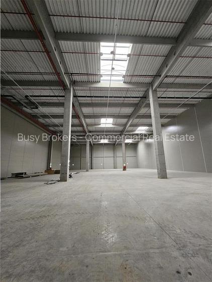 Spatiu Industrial - 6200 mp - Logistica - Productie - Depozitare - Distributie - 2