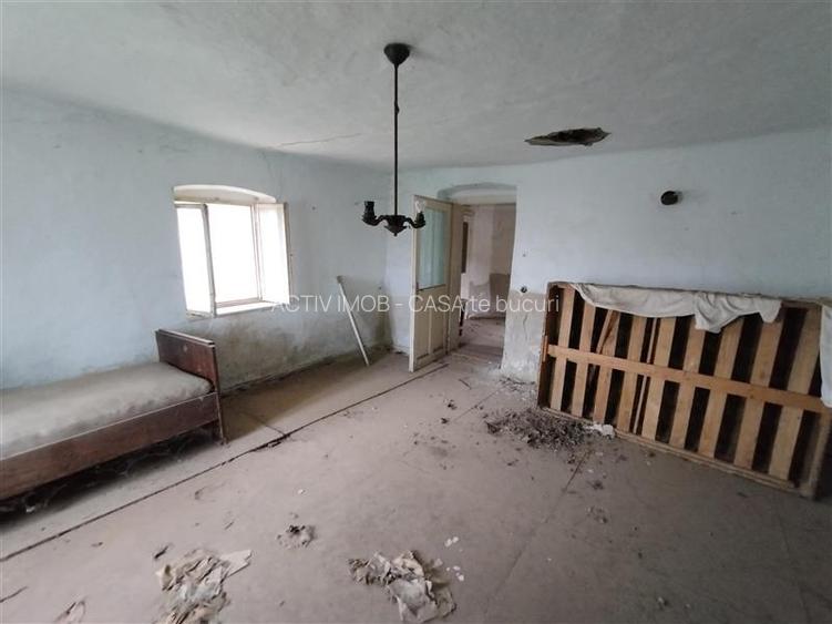 Iecea Mare - Timis, Casa cu Gradina, 1800mp Teren, Pret Negociabil - 22