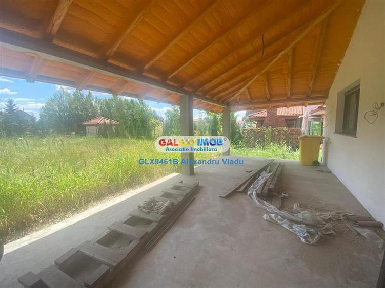 Vila  individuala cu garaj,Curtea Domneasca -Domnesti - 7