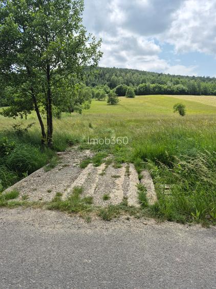 Casute vacanta cu teren 5600m2 - 4