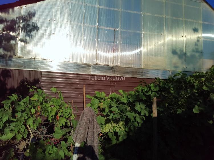 Proprietar vind sau  schimb casa Bordei  - 4