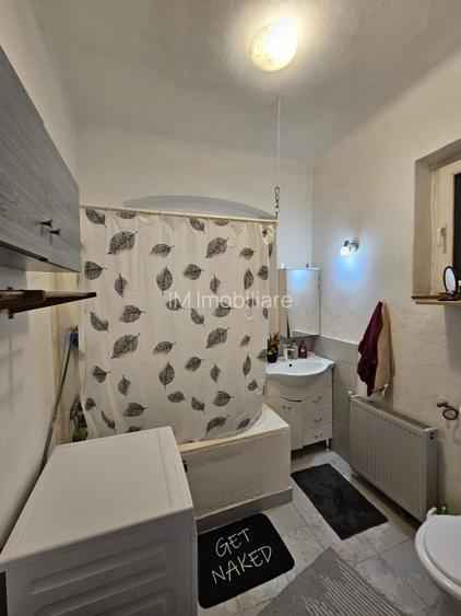 Elisabetin - Casa 4 Camere - Curte Comuna - 5