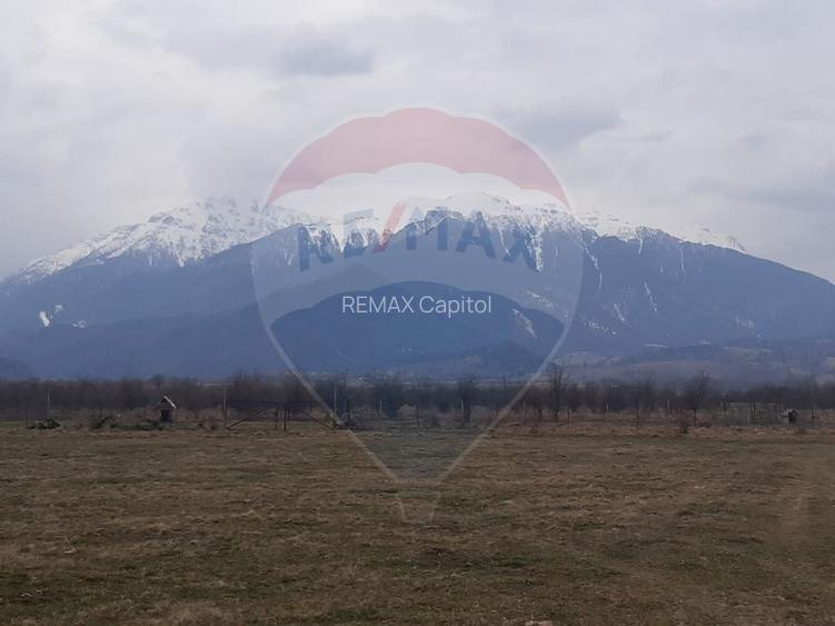 Teren 10,000mp Rasnov / Drumul Panicel - 7