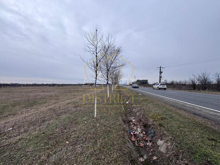 COMISION 0% Teren extravilan 1 ha | Recas - 4