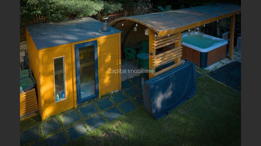 Casa de vacanta superba in Crivaia - 18