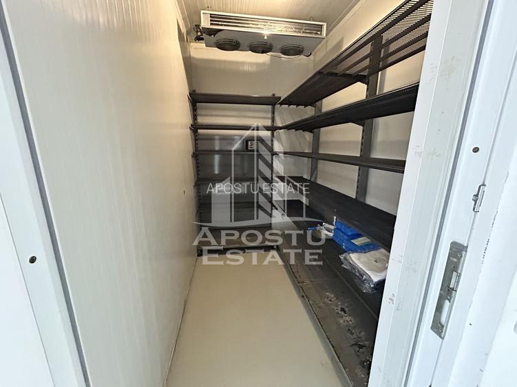 SAD de vanzare in EXCLUSIVITATE, 392 mp, 2693 mp teren, Sacalaz - 7