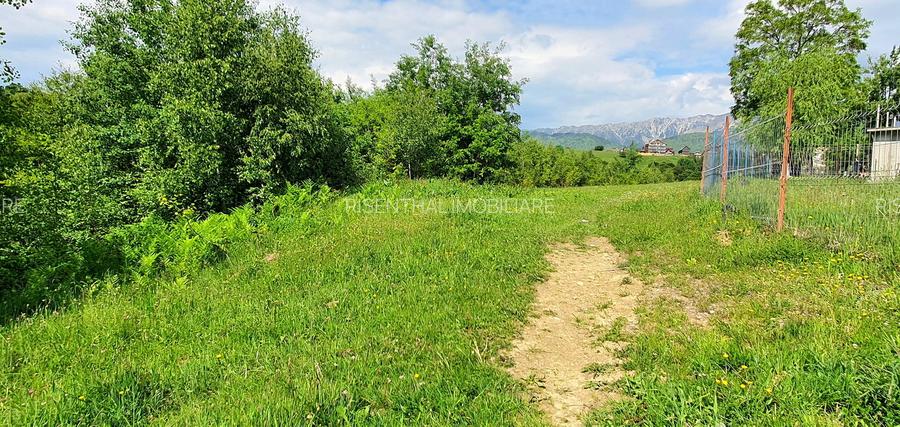 Teren pentru casa de vacanta , Pestera , Brasov - 9