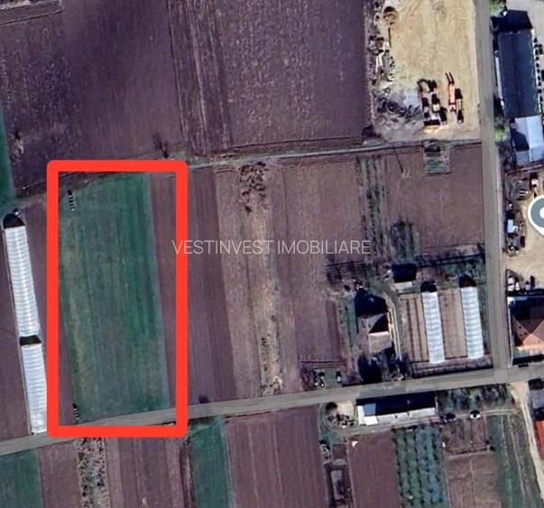 Teren intravilan in Bors - 2