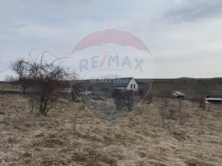 Teren intravilan 2307 mp în Salicea, zona premium, aproape de Cluj - 14