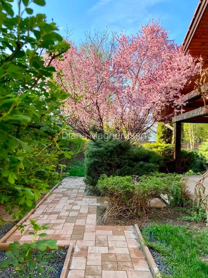 Direct de la  proprietar Vila 5 camere cu grădină în Timisoara, mobilată complet - 13