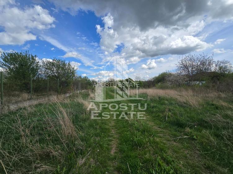 Teren 2000 mp  Intravilan - 3