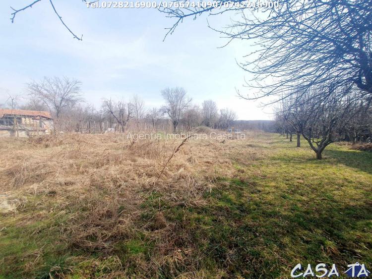 Casa D+P+M, situata in Arcani (Campofeni) - 17